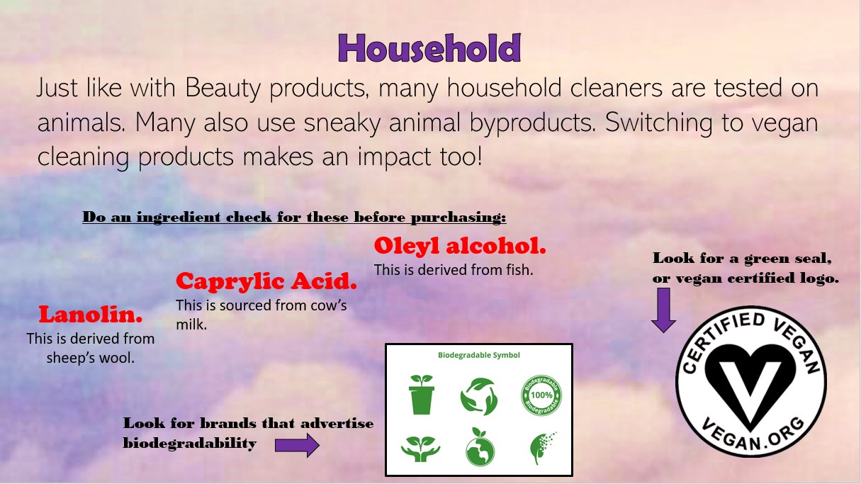 Just like with Beauty products, many household cleaners are tested on animals. Many also use sneaky animal byproducts. Switching to vegan cleaning products makes an impact too! Do an ingredient check for these before purchasing:Lanolin.This is derived from sheep’s wool. Caprylic Acid. This is sourced from cow’s milk. Oleyl alcohol. This is derived from fish. Look for a green seal, or vegan certified logo. Look for brands that advertise biodegradability.