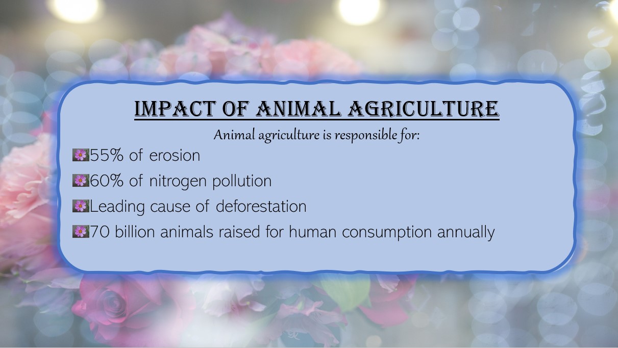 Impact of Animal Agriculture: Responsible for: 55% of erosion, 60% of nitrogen pollution, Leading cause of deforestation, 70 billion animals raised for human consumption annually.
